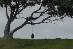 Clifftop swing