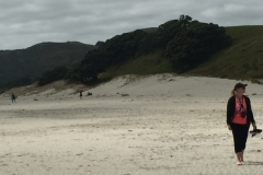 Pakiri Beach walk